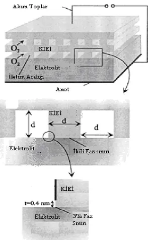 Şekil 4.6. Sonlu elemanlar metodu ile modellenmiş katot iletimi, her seferinde ölçek 10 ar kat artırılmıştır  (Flrig, 2002) 