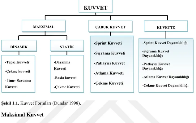 ġekil 1.1. Kuvvet Formları (Dündar 1998).