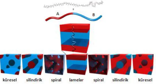 Şekil  1.12  Blok  kopolimerlerin  kütle  halinde  çeşitli  geometrilerde  kendiliğinden  toplanması  (Darling, 2007) 