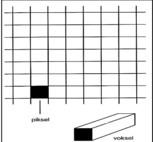 Şekil 2.4. Piksel ve voksel kavramları (Tuncel 2008). 