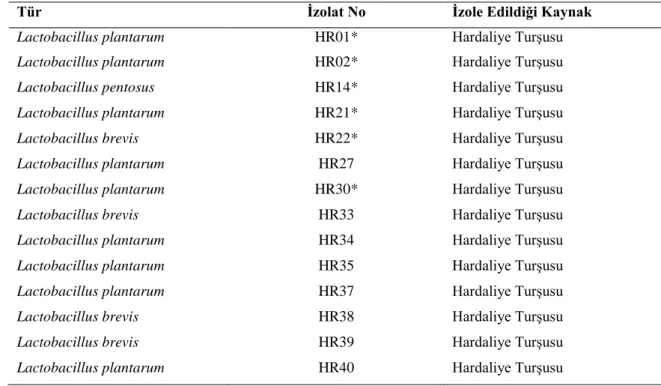 Çizelge 3.1. Çalışmada kullanılan laktik asit bakterisi izolatları ve kaynakları 