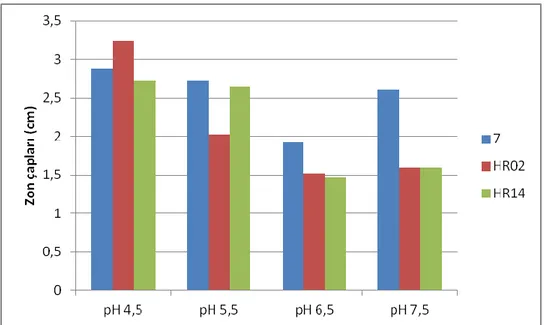 Şekil 4.3. 7, HR02 ve HR14 suşlarının farklı pH’larda tüm indikatörlere karşı oluşturdukları  inhibisyon zonlarının ortalamaları