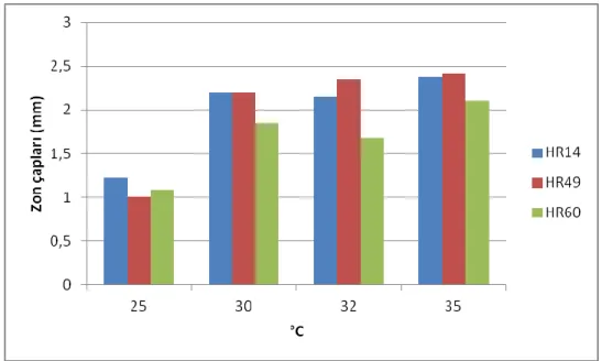 Şekil 4.5. HR14, HR49 ve HR60 suşlarının farklı sıcaklıklarda oluşturdukları inhibisyon zon  ortalamaları