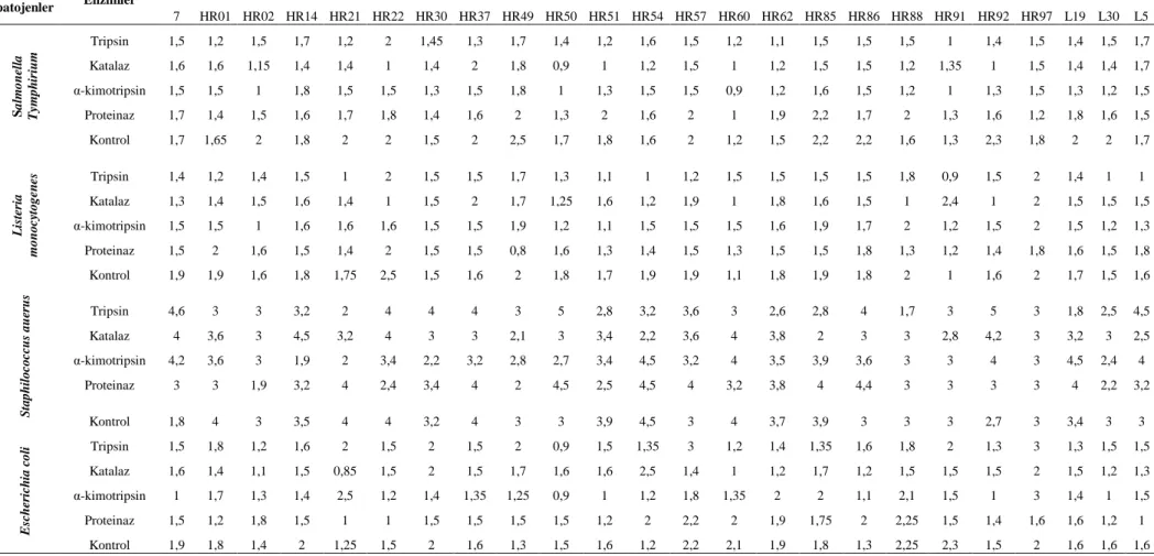 Çizelge 4.3.  Çeşitli enzimlerin laktik asit bakteri izolatlarının indikatör patojen bakterilere karşı oluşturduğu inhibisyon zon çaplarına etkisi