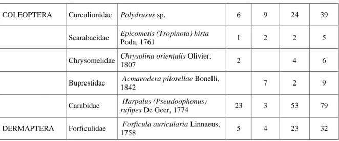 Çizelge 4.1.’in devamı 