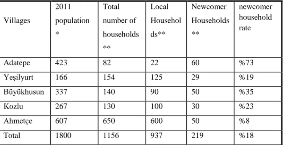 Table 3. The number of local and newcomer households 