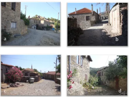 Figure  2.  A  view  of  traditional  pattern  from Adatepe (a), Büyükhusun (b), Kozlu  (c) and Yeşilyurt (d)    
