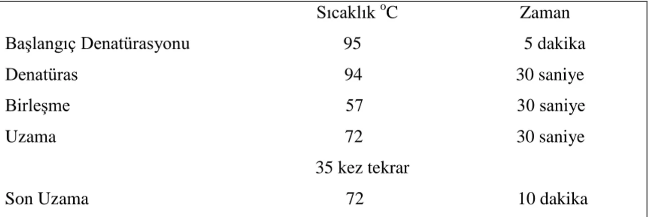 Tablo 3.4. GSTM3 gen bölgesinin PZR’si için gerekli sıcaklık 