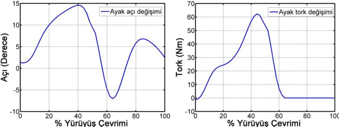 Şekil 3.4. Yürüyüş esnasında gerçekleşen ayak CGA açıları (sol) ve torkları (sağ) 