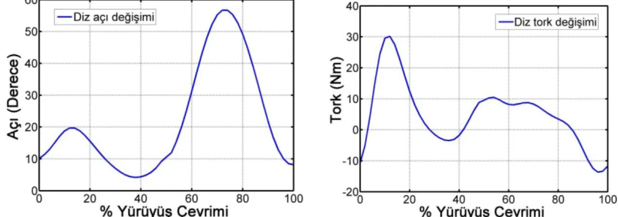 Şekil 3.6. Yürüyüş esnasında diz üzerinde oluşan açı ve tork miktarı 