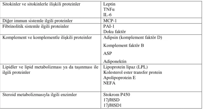 Çizelge 2.1. Bazı adipozit türevi proteinler ve endokrin fonksiyonları (Kershaw ve Flier, 2004)  Sitokinler ve sitokinlerle iliĢkili proteinler  Leptin 