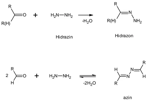 Şekil  1.7’  de  hidrazon  ve  azin  oluşum  reaksiyonu  verilmiştir.  Bu  reaksiyondaamin  türevi  olan  hidrazinin  aldehit  ve  ketonlarla  vermiş  olduğu  reaksiyon  sonucu  hidrazon  ve  azinler  oluşmaktadır