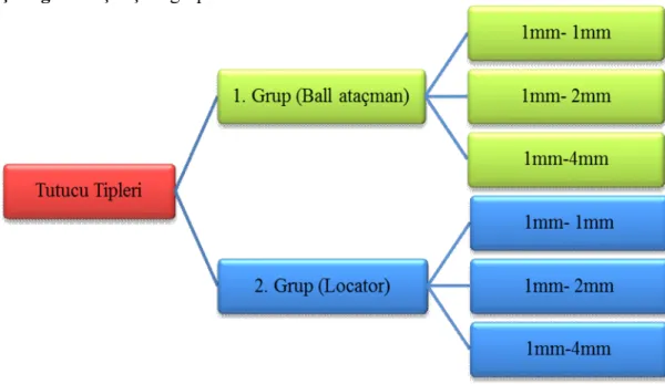 Çizelge 2.1. Çalışma grupları