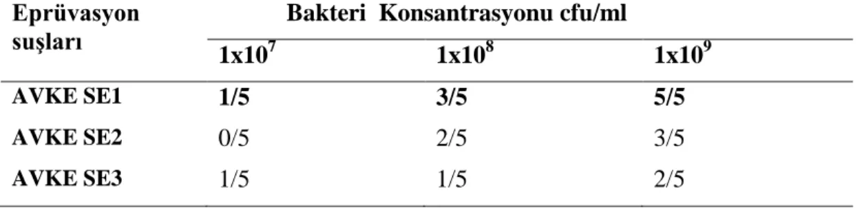 Çizelge 3.5. Bir kez aĢılı grupların ELISA testi ile seropozitiflik oranları. 