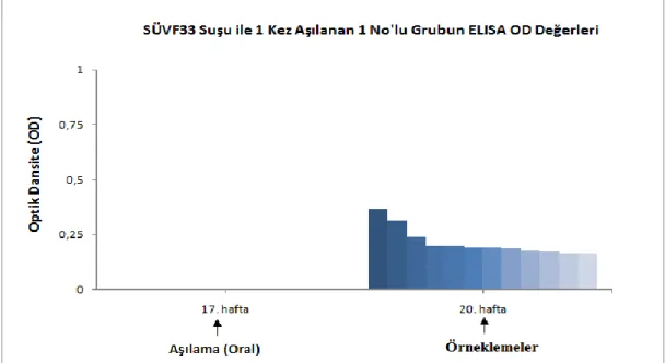Şekil 3.2. SÜVF34 suĢu ile 17. haftada bir kez oral yolla aĢılanan 2 no‟lu grubun  aĢılamadan 21 gün sonra ELISA OD değerleri (OD 405 nm )