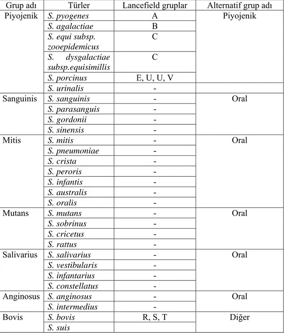 Çizelge 1. 1. 16S rRNA dizi analizine göre insanlardan izole edilen Streptococcus  türleri