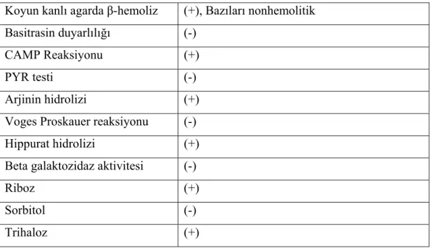 Çizelge 1. 3. GBS’lerin biyokimyasal özellikleri   Koyun kanlı agarda β-hemoliz (+),  Bazıları nonhemolitik  Basitrasin duyarlılığı (-) 