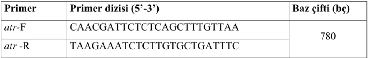 Çizelge 2. 2. Primer dizileri ve çoğaltılan baz çifti uzunlukları. 