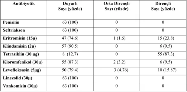 Çizelge 3. 4. GBS izolatlarının antibiyotiklere duyarlılık sayı ve yüzdeleri (n: 63). 