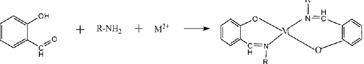Şekil 1.1.    N-alkilsalisilaldeminlerin metal kompleksleri. 