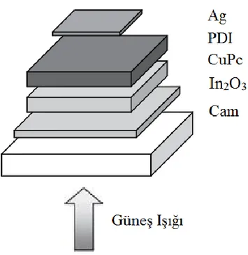 Şekil 1.3. Tang tarafından tanımlanan organik güneş pilinin tabakaları (Krebs, 2008) 