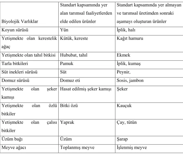 Tablo  22’de  görüldüğü  gibi  canlı  varlıklar  ile  hasat  zamanı  elde  edilen  tarımsal ürünler, TMS-41’in kapsamına dâhil edilmekte iken, hasat sonrası işlenme  sonucu ortaya çıkan ürünler 41’in kapsamı alanı dışarısında bırakılarak,  TMS-2 standardı 