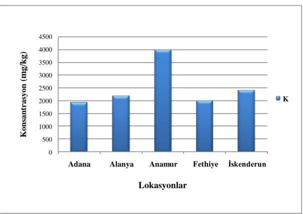 Şekil 4.1.2.2. Hint inciri meyve pulplarının K içeriklerinin lokasyona bağlı değişimi Lokasyonlar 