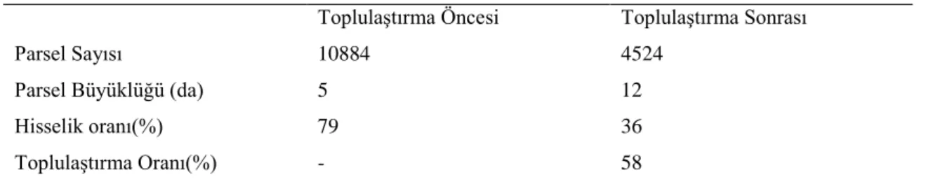 Çizelge 4.2. Toplulaştırma sonrası parsel sayı ve büyüklük değişimleri 