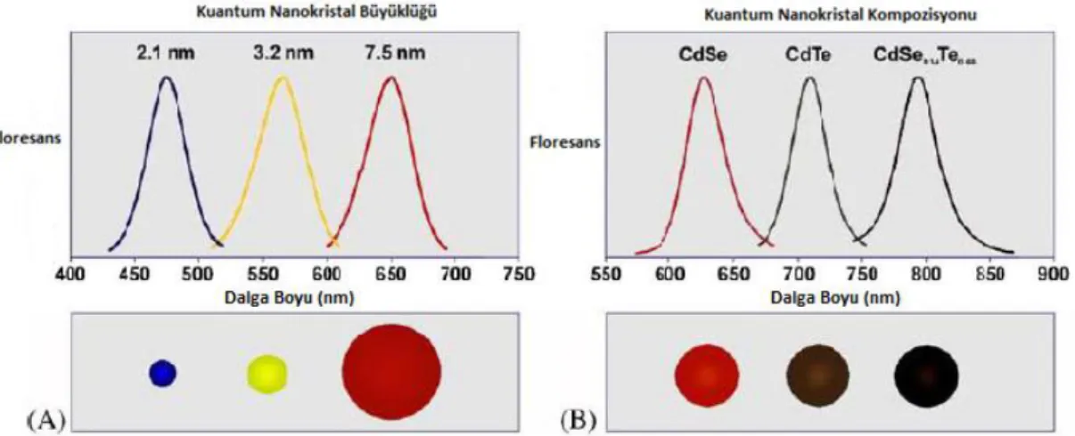 Şekil 1.8. Komposizyon ve partikül büyüklüğüne bağlı olarak kristallerin emisyon dalga boyu  değişimi (Jia, 2008)