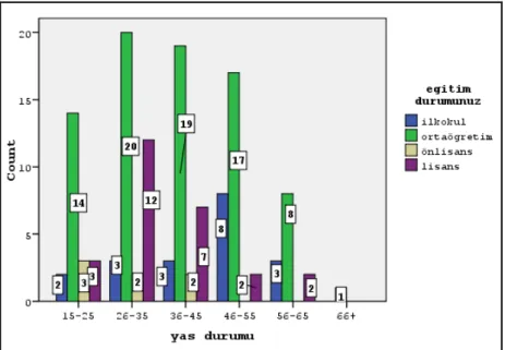 Grafik 5.2. Konut ve cadde kullanıcıları anketi,  yaşa bağlı eğitim durumu grafiği 