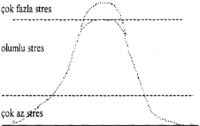 Şekil 3.2. Yerkes dodson kanunu(ERSARI 2010; Türk, 1997) 