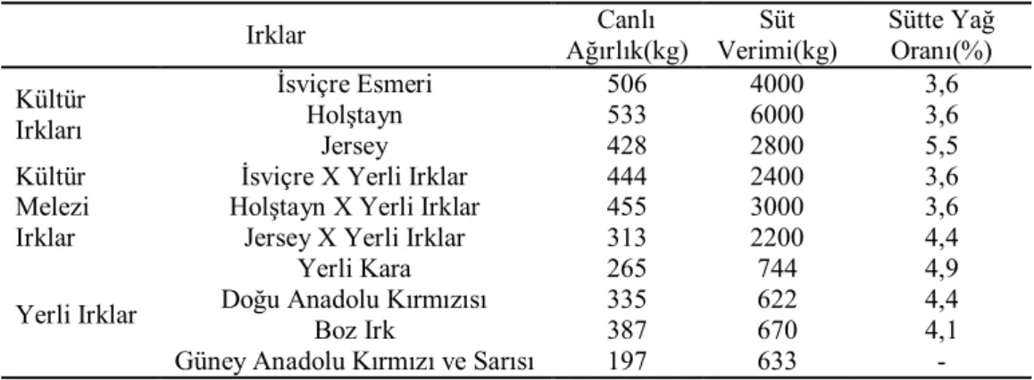 Çizelge  2.4.’ü  incelediğimizde  ülkemizdeki  büyükbaş  hayvanların  canlı  ağırlıkları  karşılaştırıldığında  kültür  ve  kültür  melezi  bazı  hayvan  ırklarının  canlı  ağırlıkları  yerli  ırklarımızın  canlı ağırlıklarına  nazaran  iki kat daha  fazla