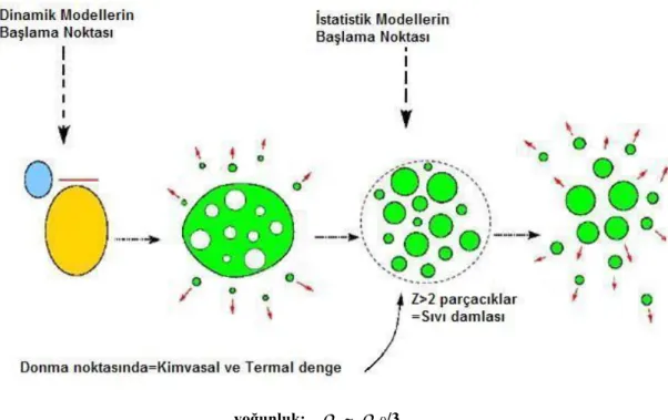 Şekil 3.3. İstatistiksel Çoklu-Parçalanmanın şematik gösterimi 