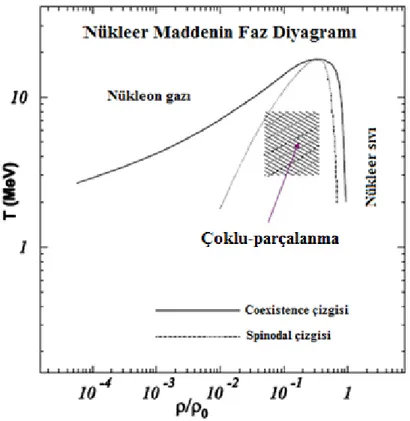 Şekil 3.5. Sıcaklık-yoğunluk düzleminde nükleer maddenin faz diyagramı 