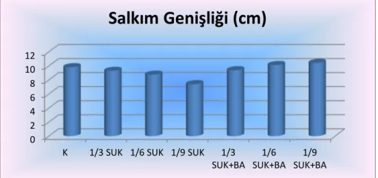 Çizelge 4.4. Uygulamaların salkım genişliği üzerine etkileri 