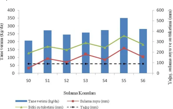 Şekil 4.1. Sulama ve tane verimi ilişkisi