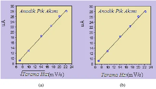ġekil 3.6. Pik akımına karşı (a) gerilim tarama hızının karekökü grafiği (b) gerilim tarama hızı grafiği 