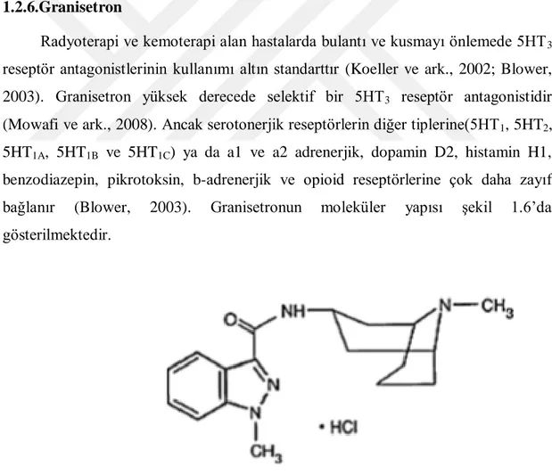 Şekil 1.4. Granisetron moleküler yapısı 