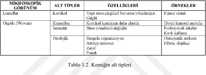 Tablo 1.2. Kemiğin alt tipleri 