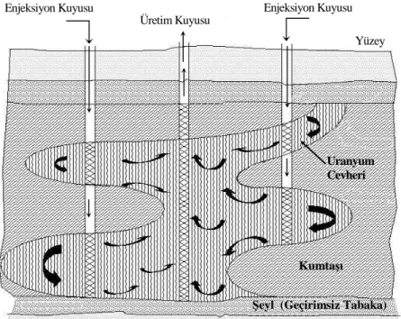 Şekil 1.8. Uranyum cevheri için yerinde liç (Canbazoğlu ve Girgin, 2001). 