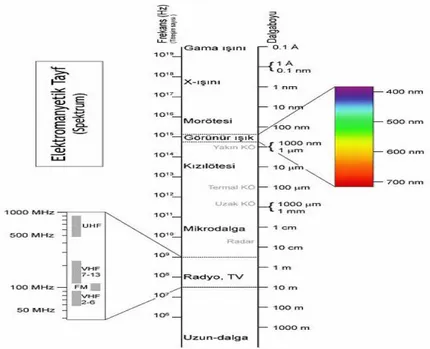 Şekil 1.1. Elektromanyetik spektrum ve bazı ışınım (radyasyon) türlerinin tayf üzerindeki yaklaşık  yerlerini gösterir illüstrasyon