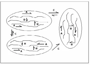 Şekil 1.5: Polimer zincir üzerindeki elektronik yüklerin hareketi