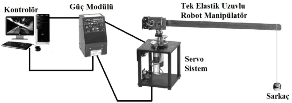 Şekil 4.6 Sarkaç taşıyan tek elastik uzuvlu robot manipülatör sisteminin deney düzeneği.