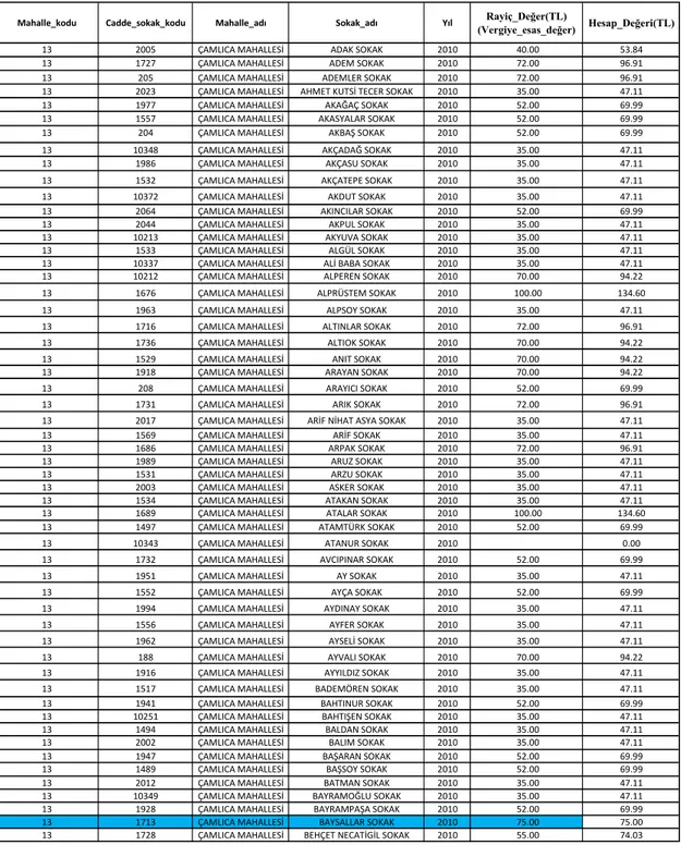 Tablo 4.18 Veri tabanı yazılımında hazırlanan hesap değer tablosu 