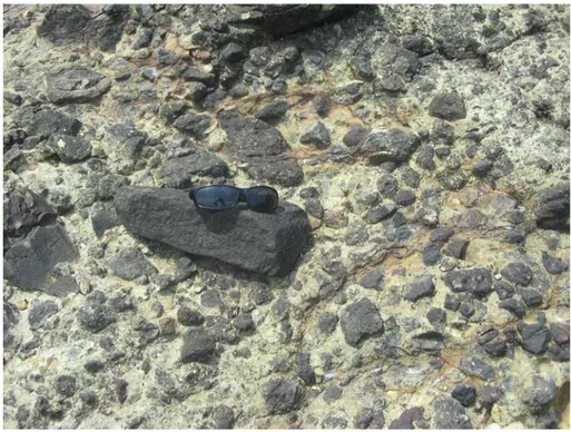 Şekil 4.2. Hamsaros volkanitlerine ait bazaltik breşlerin yakından görünümü   (Serçe Br., Soğucalı Mah