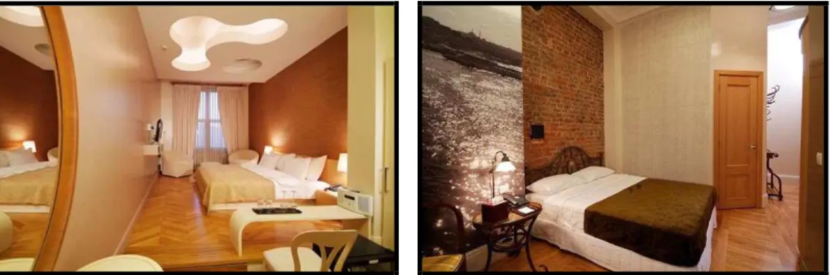 Şekil 2.10. Lush HIP Otel, Elegance Oda (Web İletisi 47)  Şekil 2.11. Deluxe Oda (Web İletisi 47)