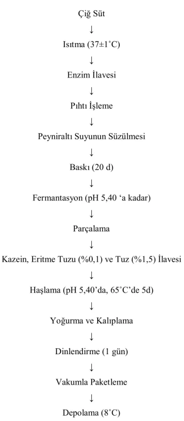 Şekil 2.1. Kaşar peyniri üretim akış şeması 
