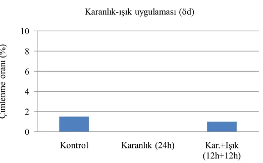 Şekil  4.29.  Tohumları  karanlıkta  ve  ışıkta  bekletmenin  kokarot  tohumlarının  çimlenmesi üzerine etkisi 