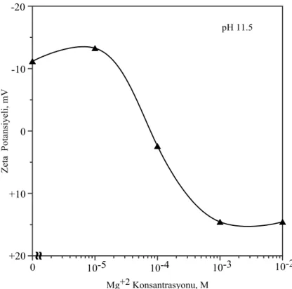 Şekil 4.6. Kolemanitin zeta potansiyelinin pH 11.5’te Mg +2  iyonu konsantrasyonu  ile değişimi