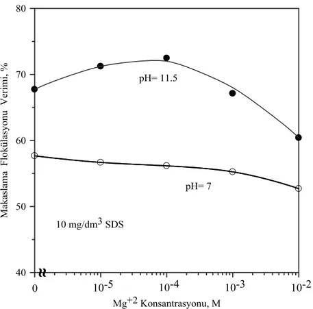 Şekil 4.33. Mg +2  katyon konsantrasyonunun kolemanitin 10 mg/dm 3  SDS ile  makaslama flokülasyonuna etkisi